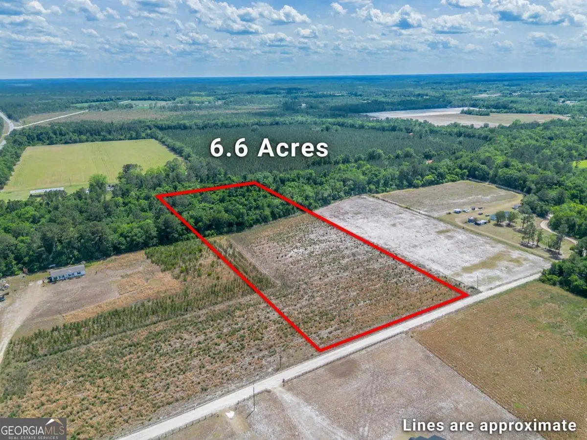 6.6 ACRES Bert Road, Hoboken, GA 31542 - #1