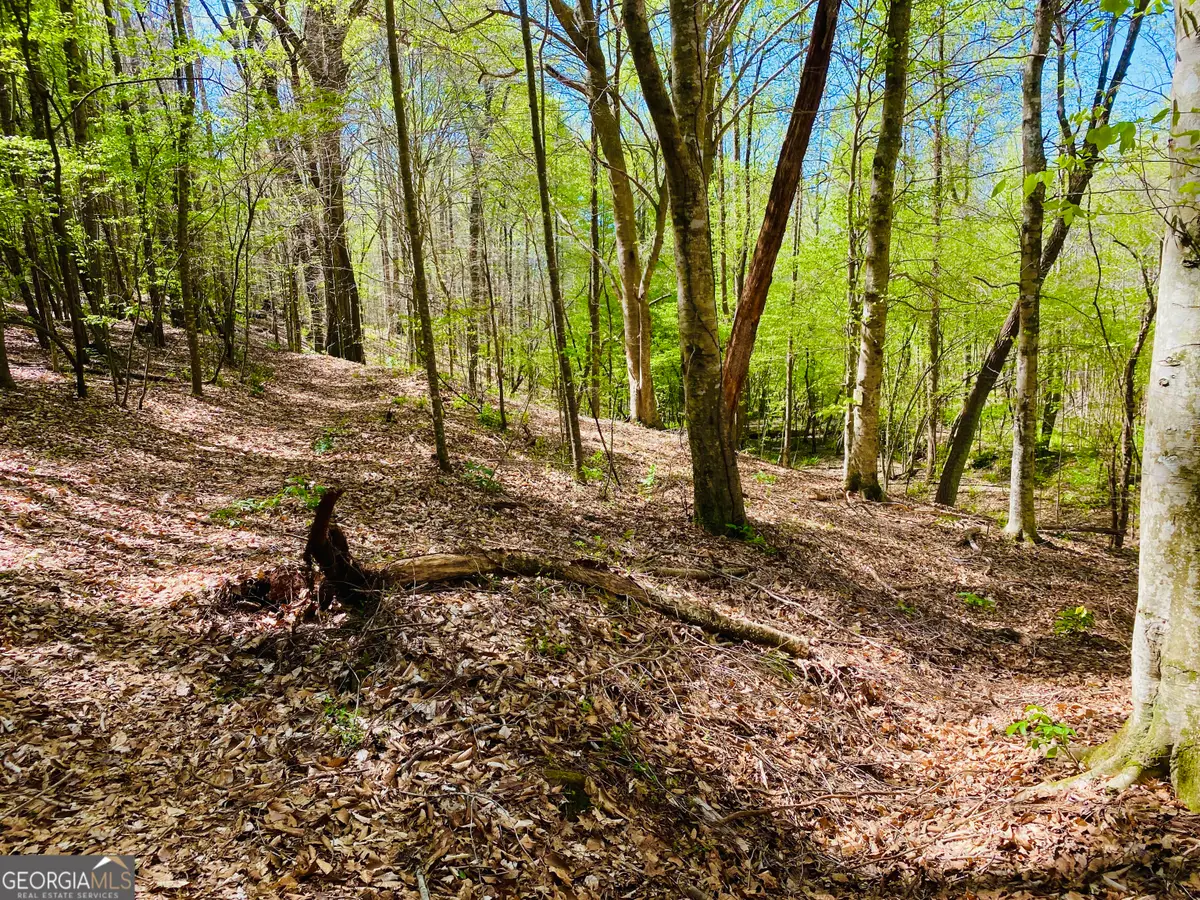 3 Curry Falls Trail, Athens, GA 30607 - #1