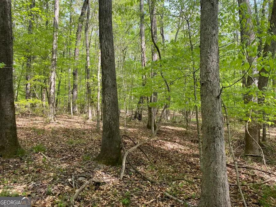 3 Curry Falls Trail, Athens, GA 30607 - #3