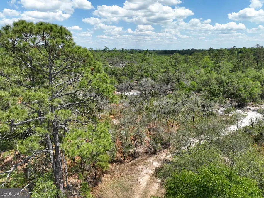 8 Old Highway 46 (24.84 Ac), Twin City, GA 30471 - #3