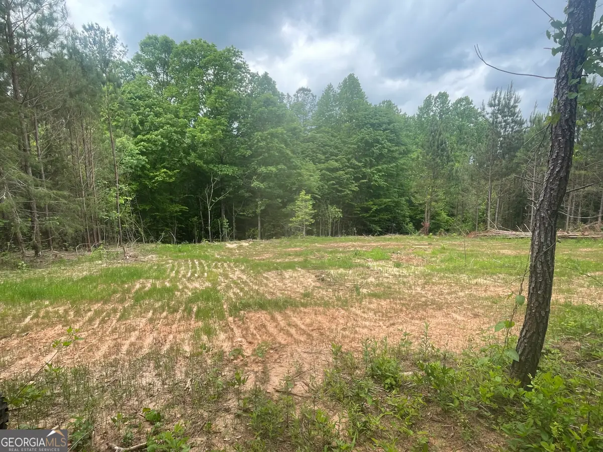 0 Bevis Rd Parcel 9, Franklin, GA 30217 - #1