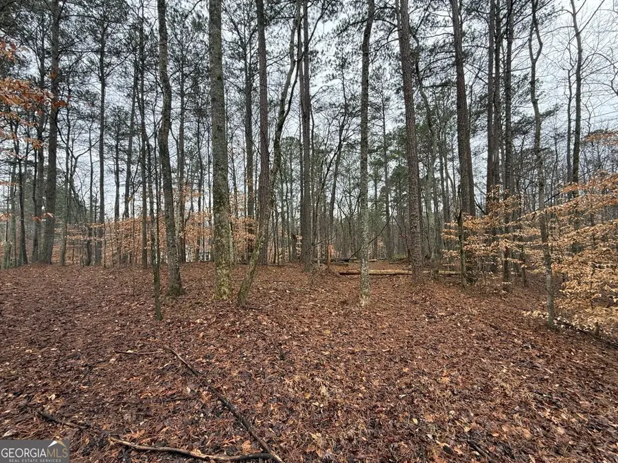 1666 Rock Springs Lane, Woodstock, GA 30188 - #2