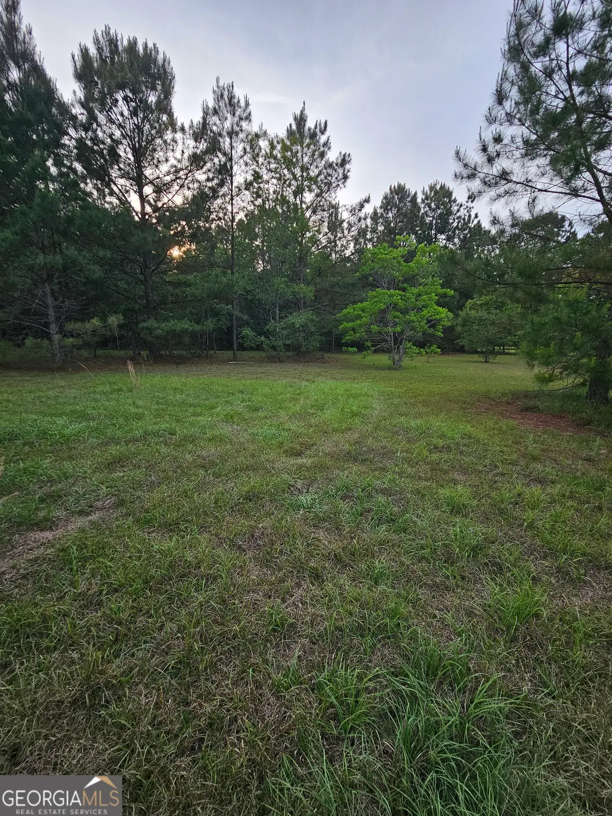 3780 Maria Sorrell Road, Statesboro, GA 30461 - #1