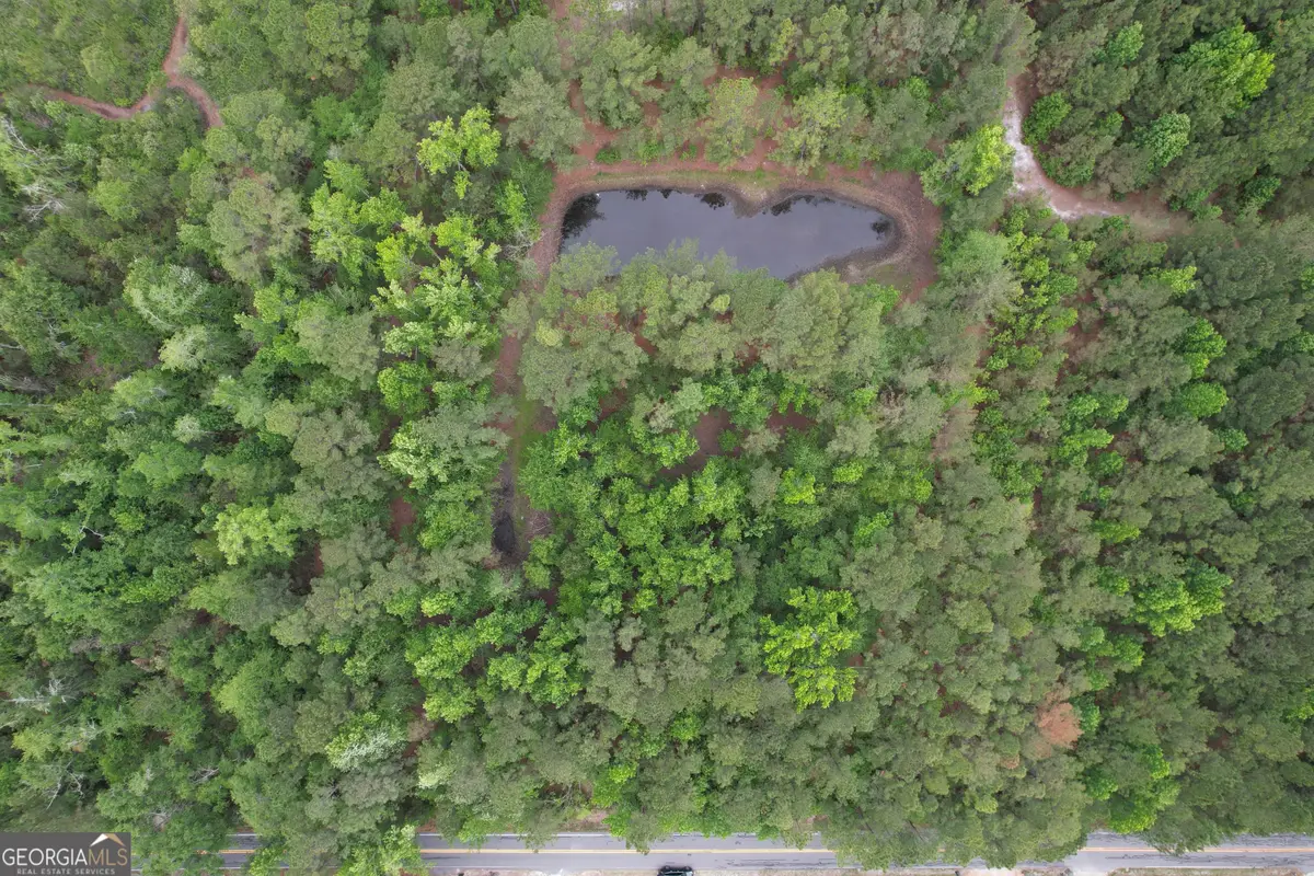 1.52 ACRES Mt Pleasant Road, Clyo, GA 31303 - #1