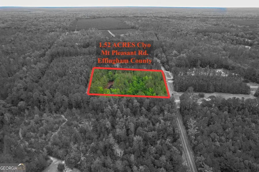 1.52 ACRES Mt Pleasant Road, Clyo, GA 31303 - #2
