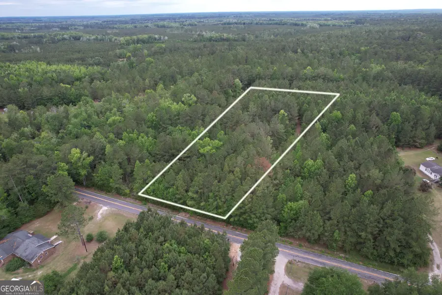1.52 ACRES Mt Pleasant Road, Clyo, GA 31303 - #3