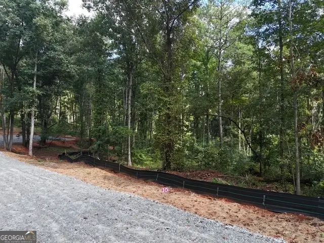 354 Sanford Oak Court #TRACT 10, Nicholson, GA 30565 - #2