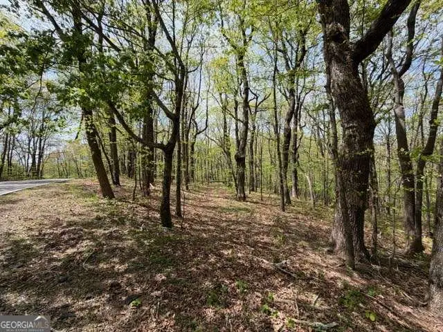 LOT 26 Falcons Nest #26, Nelson Tate Marble Hill, GA 30413 - #3