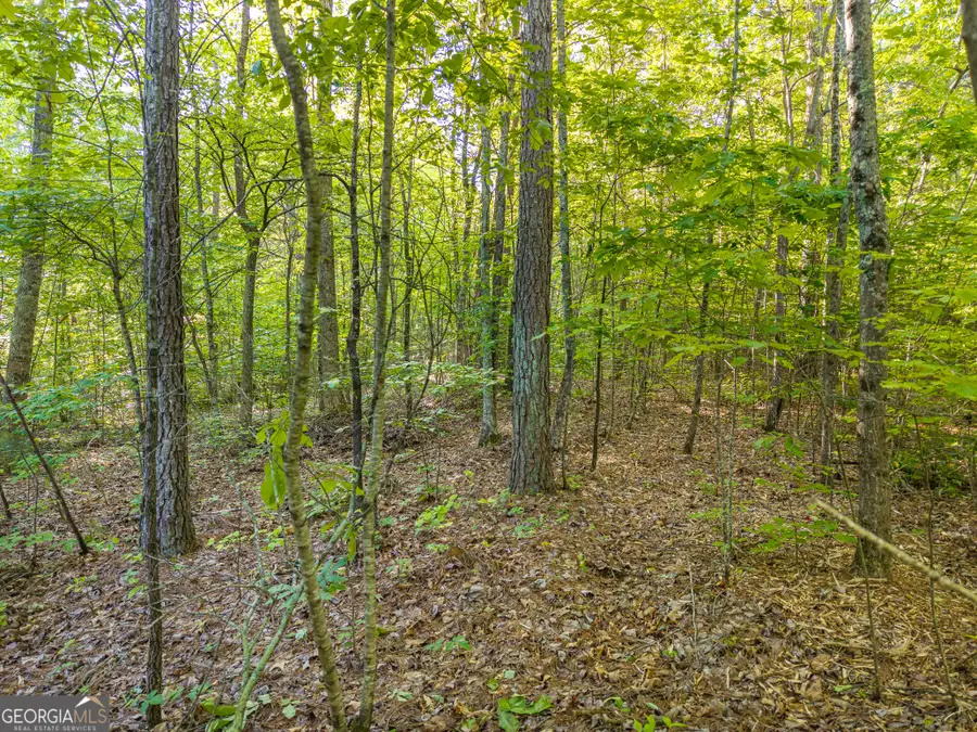 LOT 42 Harris Creek Drive, Ellijay, GA 30540 - #2