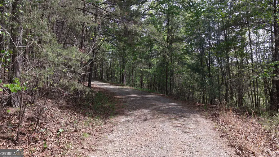 0 Horseshoe Bend Road, Dahlonega, GA 30533 - #3