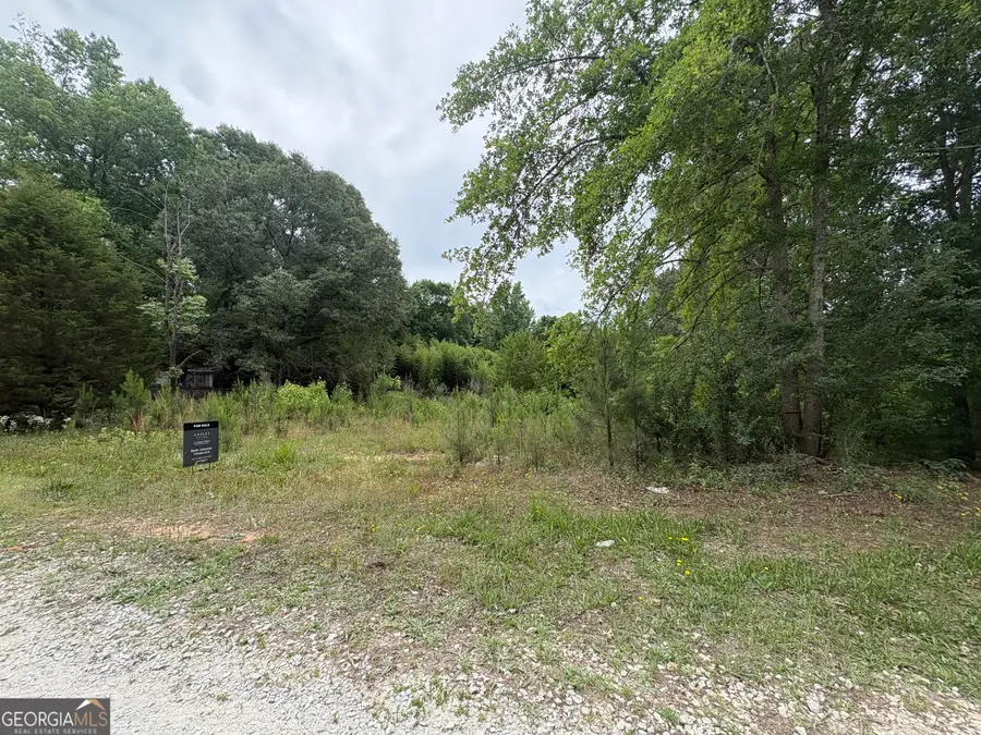355 N River Circle, Hogansville, GA 30230 - #3