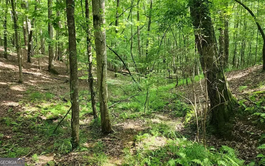LOT 838 Oneida Circle, Ellijay, GA 30540 - #3