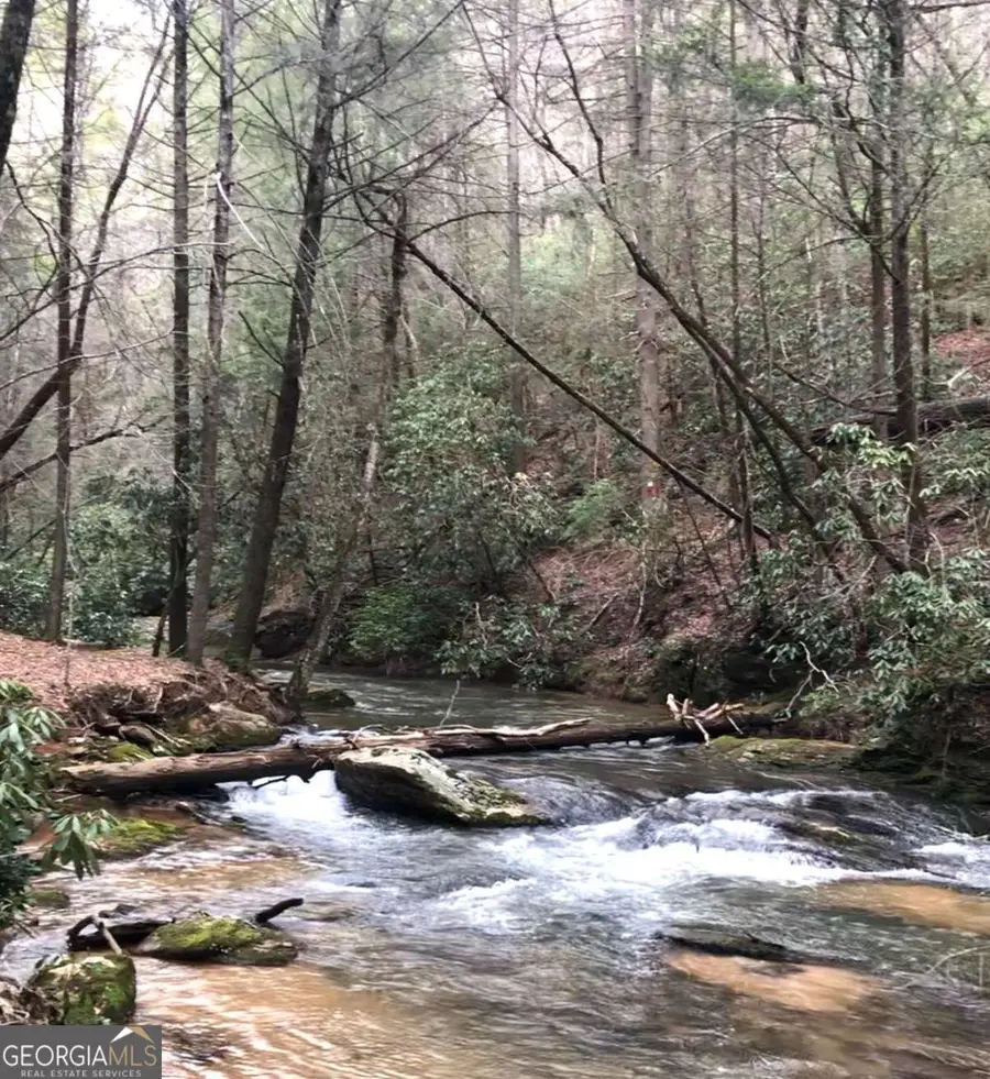 106 Nimblewill Overlook, Dahlonega, GA 30533 - #2