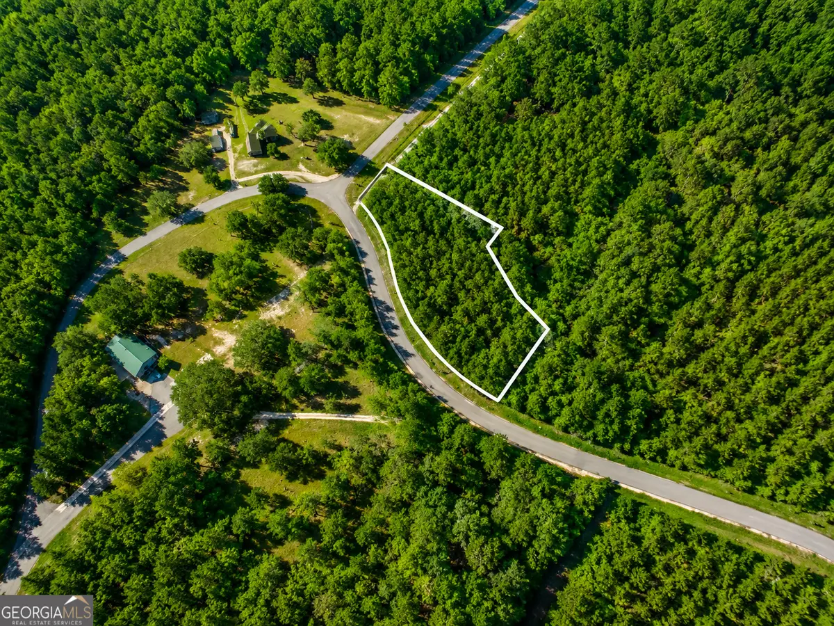 0 Oak Hammock Court, Waynesville, GA 31566 - #1