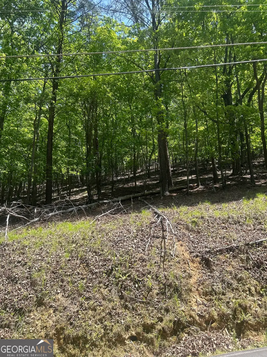 381 Hillside Drive, Waleska, GA 30183 - #2