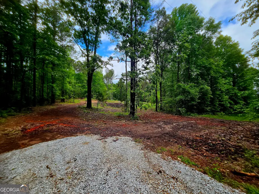 0 School House Hill Road, Franklin, GA 30217 - #3