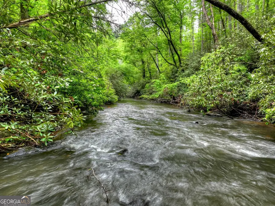 300 River Road, Cherry Log, GA 30522 - #3
