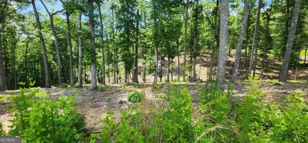 LT 106 Split Creek Road #106, Morganton, GA 30560