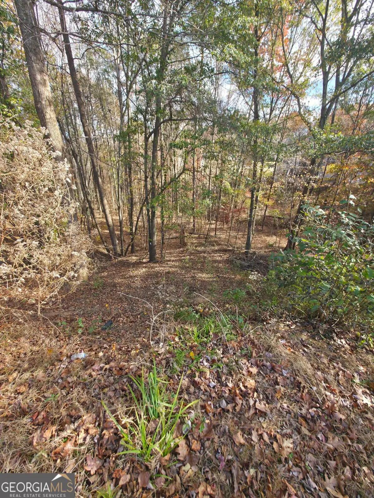 2412 Snowshoe Bend, Bethlehem, GA 30620 - #1