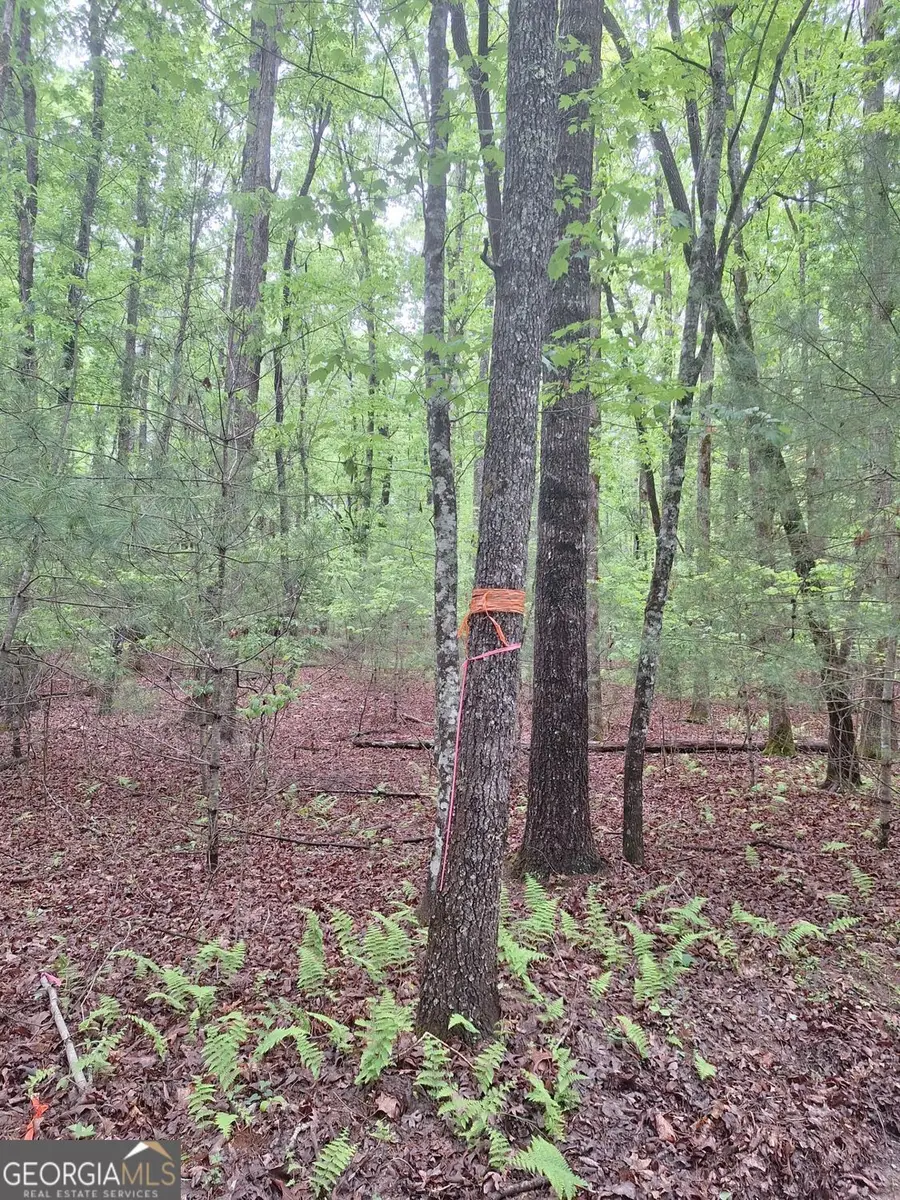 LOT 14 Noontootla Ridge Court, Blue Ridge, GA 30513 - #2