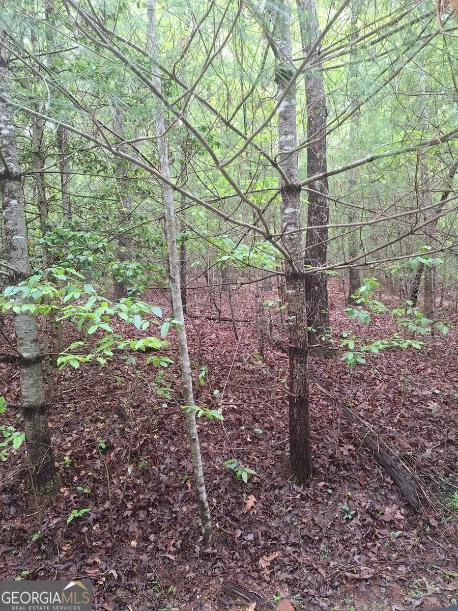 LOT 14 Noontootla Ridge Court, Blue Ridge, GA 30513 - #3