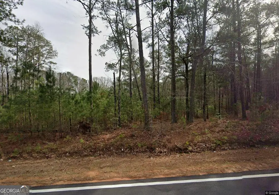 2198 N Walkers Mill Road, Griffin, GA 30223 - #2