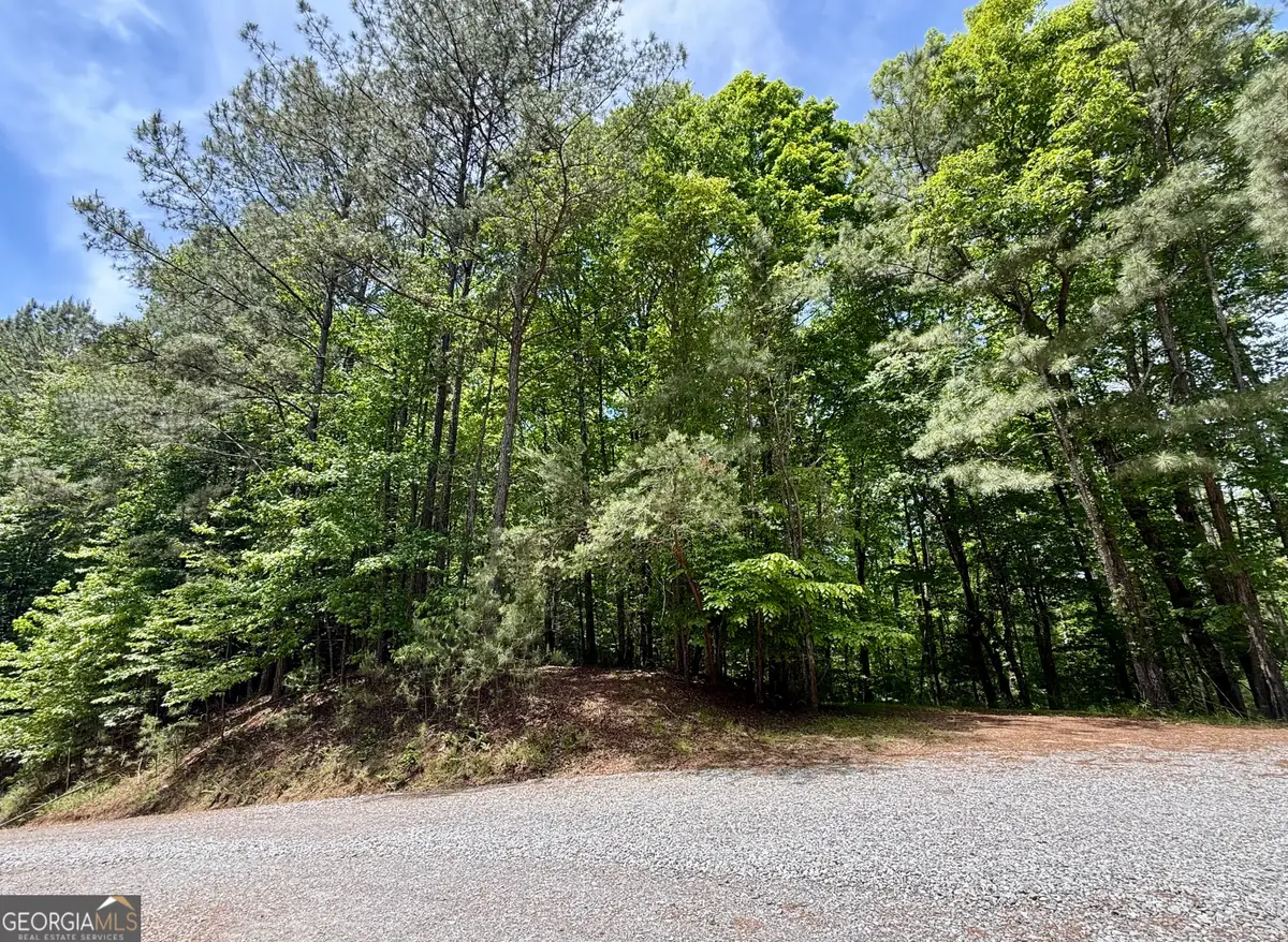0 Nectar Lane, Ellijay, GA 30540 - #1