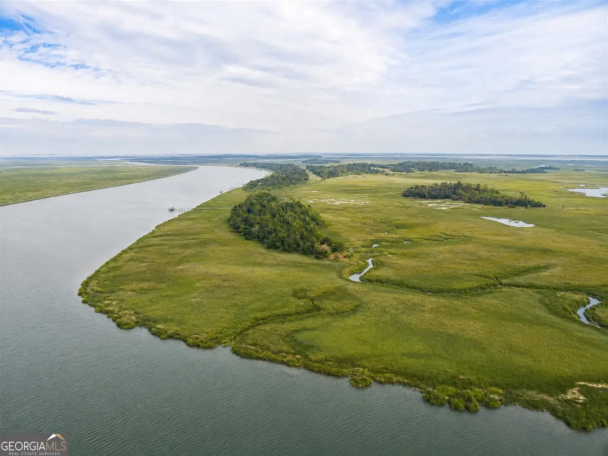 0 Lower Barbour Island, Townsend, GA 31331 - #1