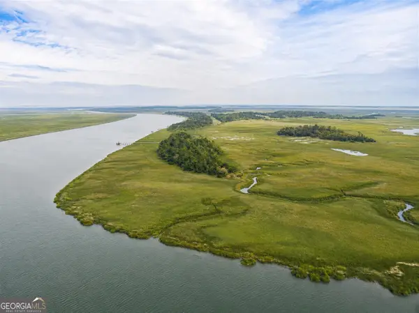 0 Lower Barbour Island, Townsend, GA 31331