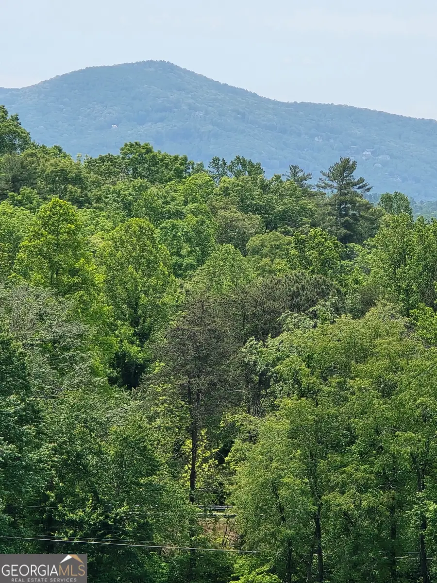 255 Burnt School House Road, Hayesville, NC 28904 - #2