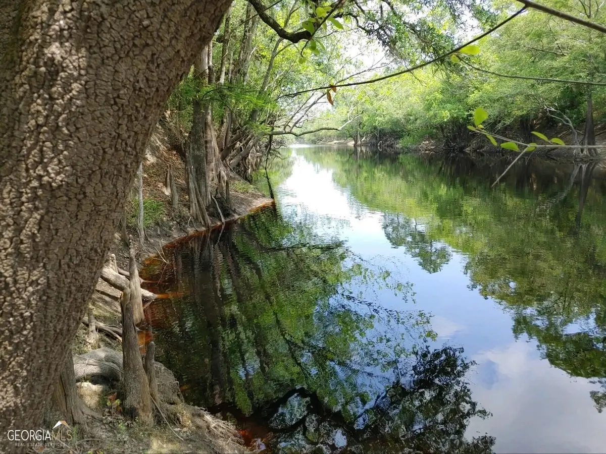 LOT 1 Baker Blvd/cr 4, Saint George, GA 31562 - #1