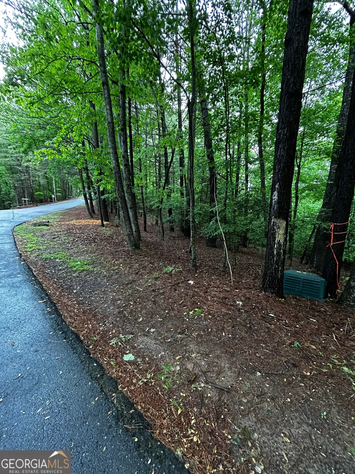 1.08 ACRES 00 Lazy River Lane, Ellijay, GA 30540 - #1