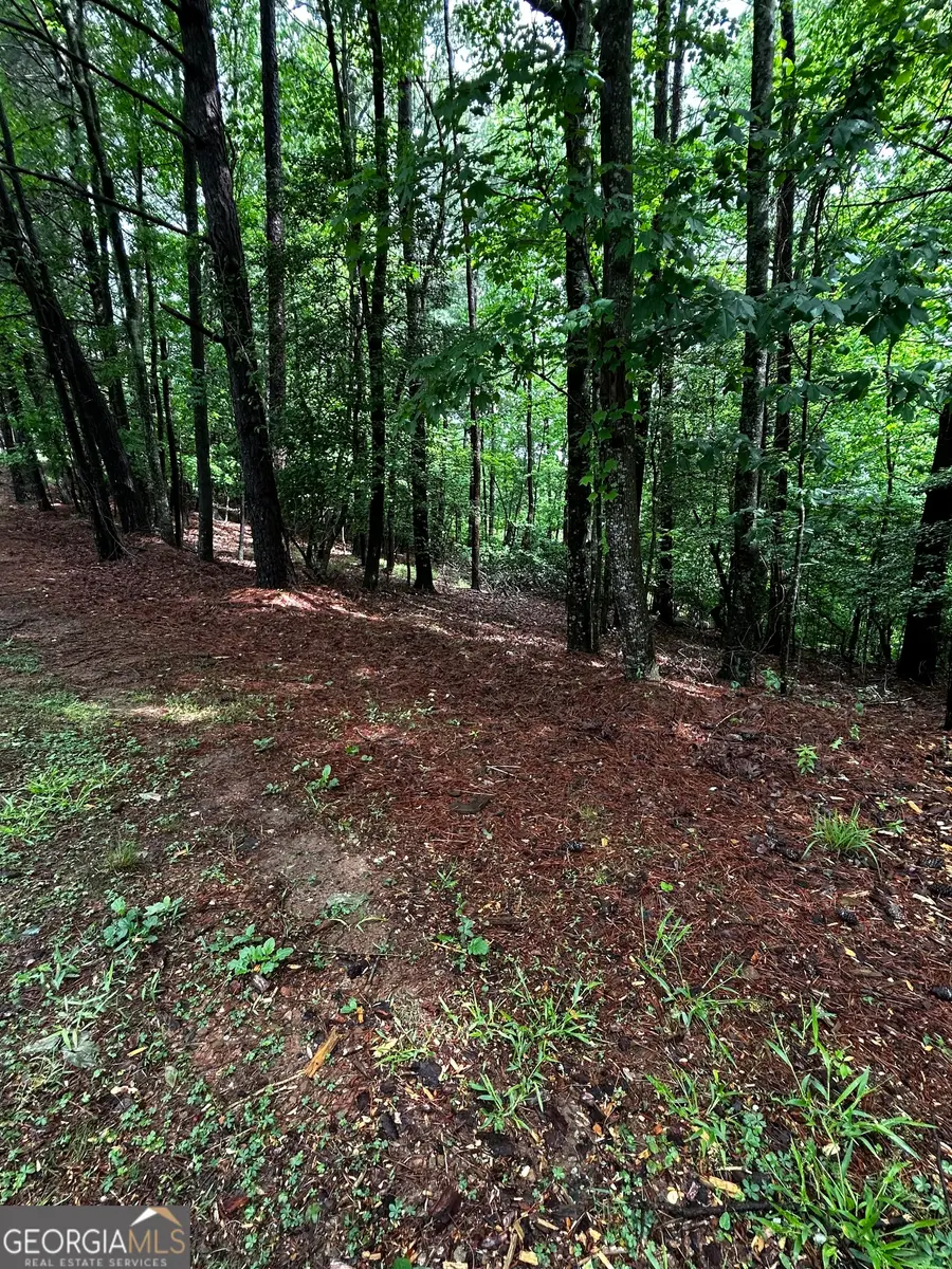 1.08 ACRES 00 Lazy River Lane, Ellijay, GA 30540 - #2