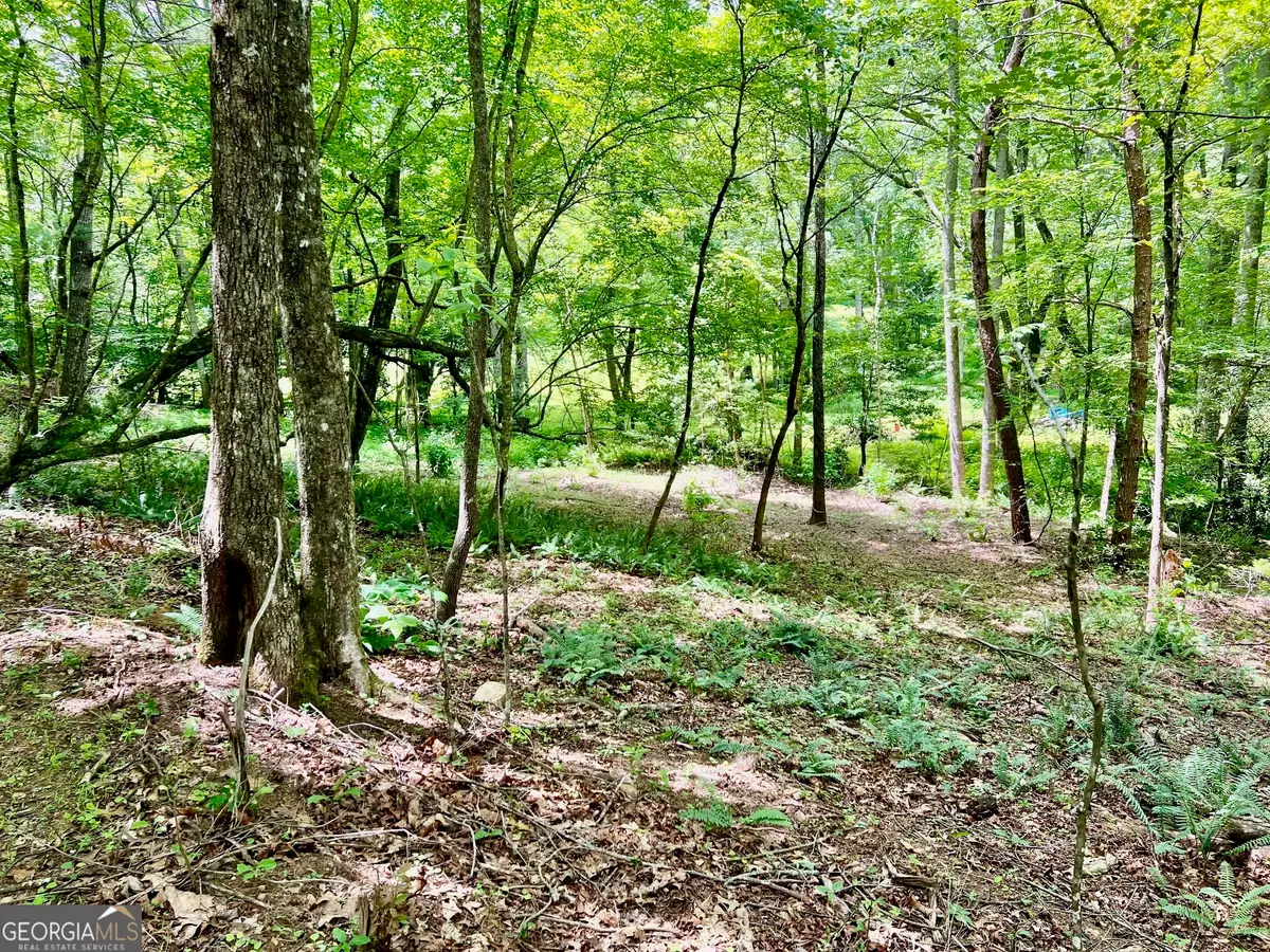 LOT 3 Lower Fox Trail, Blairsville, GA 30512 - #1