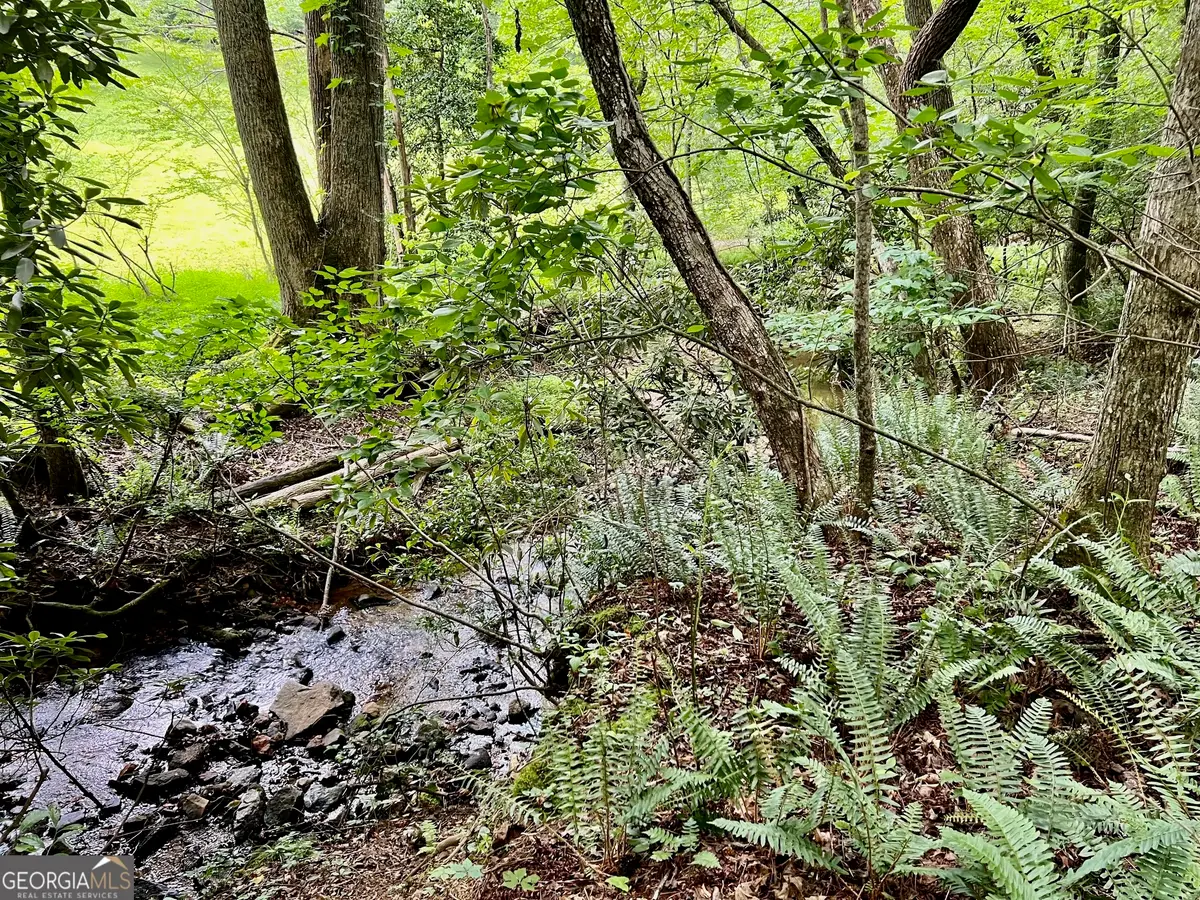 LOT 4 Lower Fox Trail, Blairsville, GA 30512 - #1