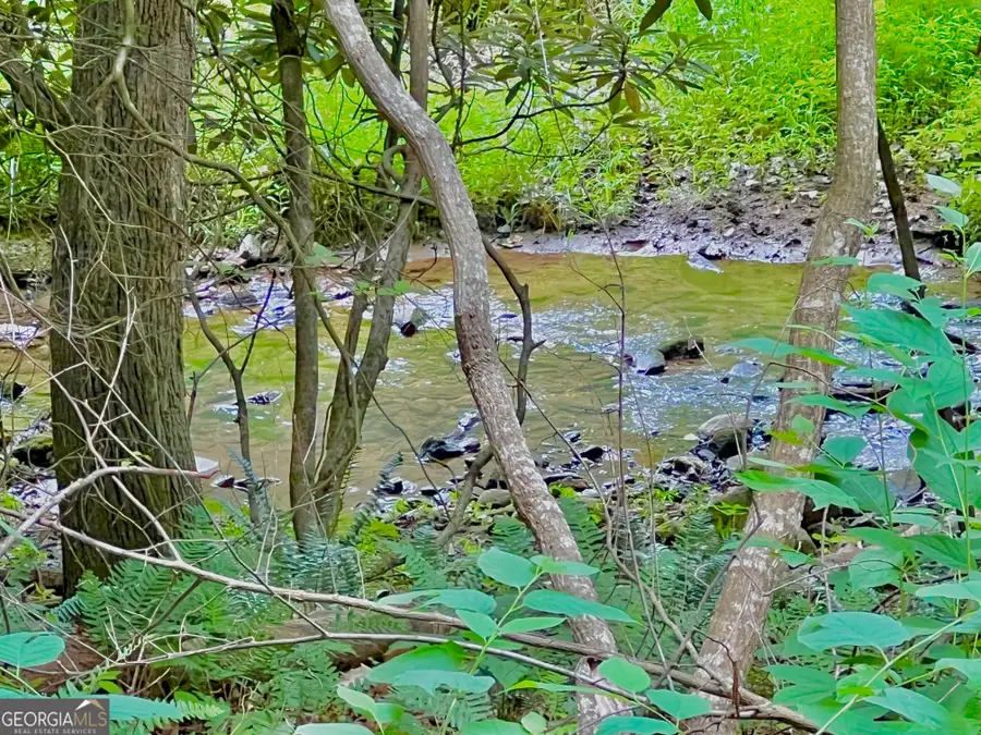 LOT 4 Lower Fox Trail, Blairsville, GA 30512 - #3
