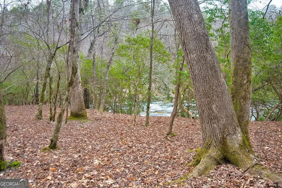 8 ACRES Brunton Circle, Ellijay, GA 30540 - #3