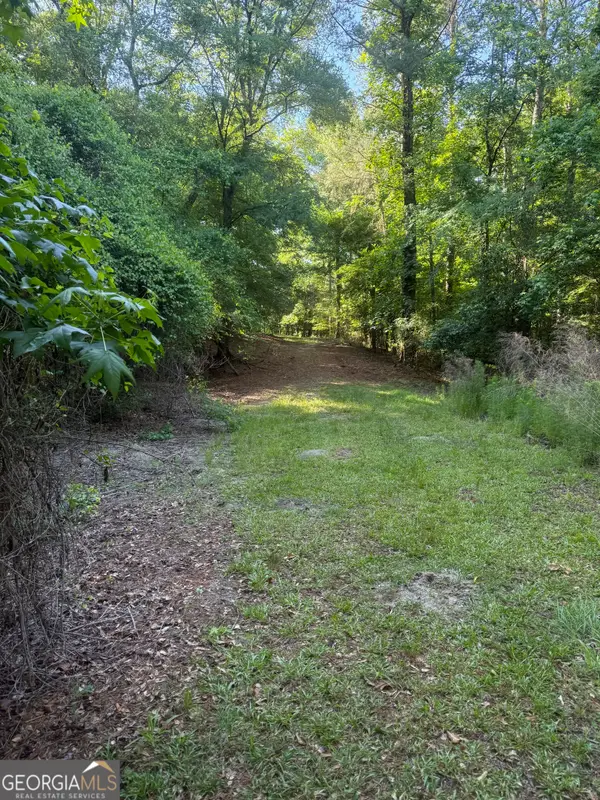 0 Thomas Street, Montezuma, GA 31063