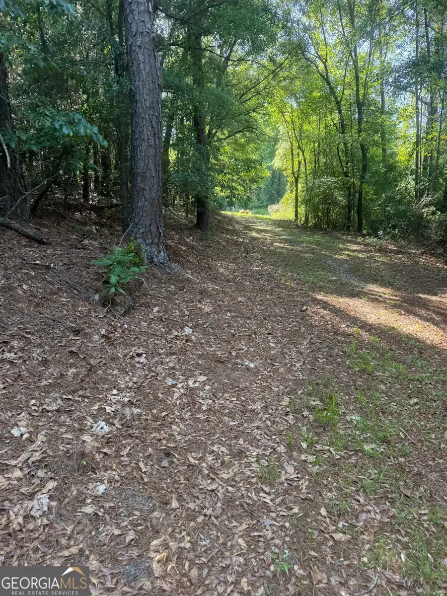 0 Thomas Street, Montezuma, GA 31063 - #3