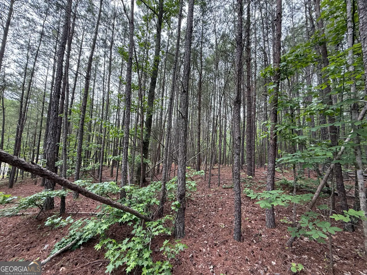 0 Natures Walk Drive, Rome, GA 30165 - #1
