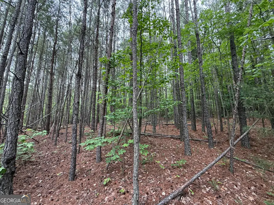 0 Natures Walk Drive, Rome, GA 30165 - #3
