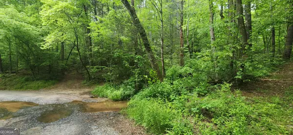 13 AC Goose Island Road, Ellijay, GA 30540