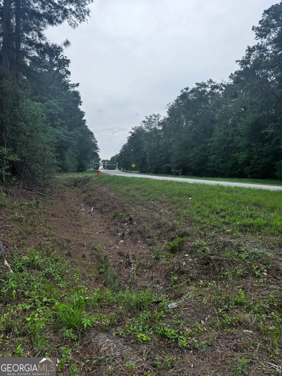 0 Fort Argyle Road, Savannah, GA 31419 - #3