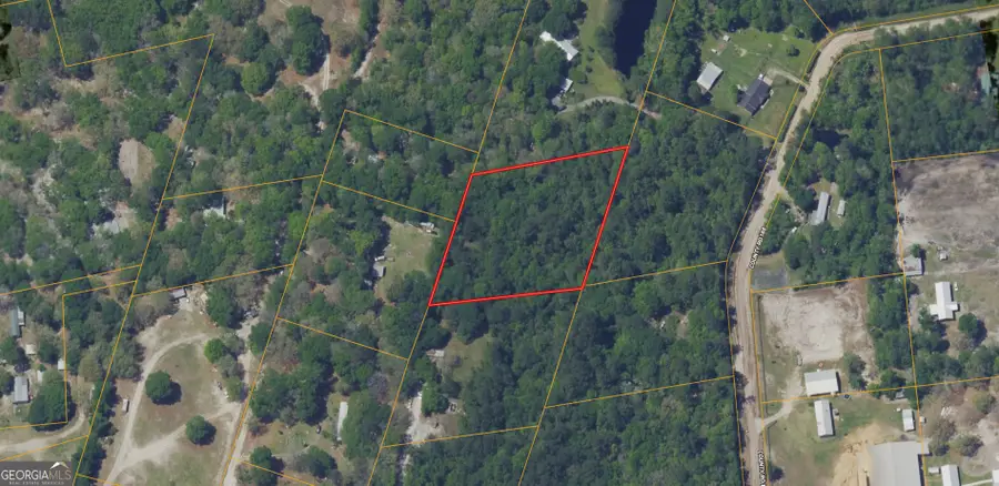 0 Twin Flower Trail, Hortense, GA 31543 - #2