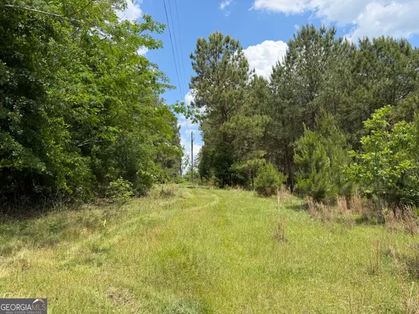 007 Long Branch Road, Toomsboro, GA 31090