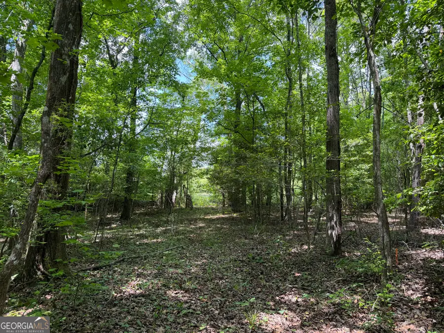 025 Long Branch Road, Toomsboro, GA 31090 - #3