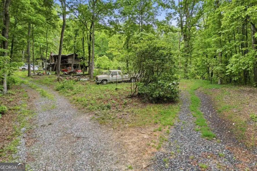 30 Tomcyn Lane, Ellijay, GA 30536 - #2