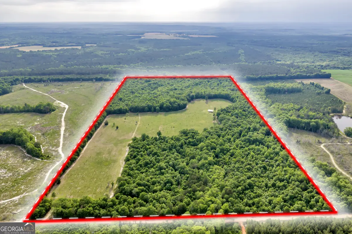 203 Gas Line Road, Cuthbert, GA 39840 - #1