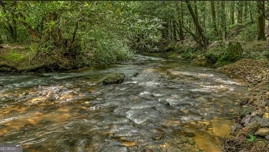 30 Stanley Creek Crossing, Cherry Log, GA 30522 - #3