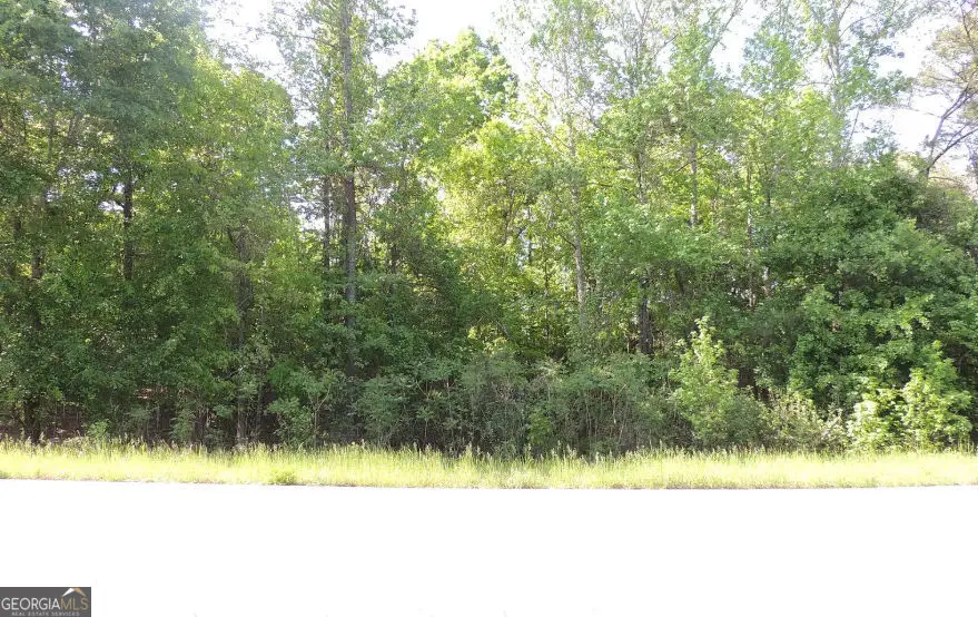 0 Causey Road, Knoxville, GA 31050 - #1